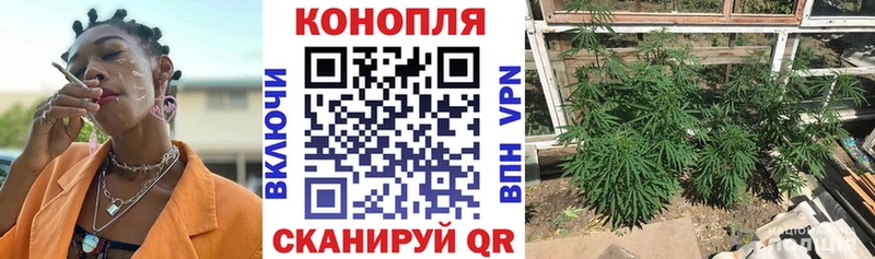Бошки Шишки VHQ Суровикино